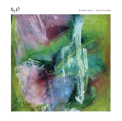Capa do artigo Perfect Texture - Vinil