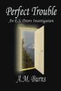 Perfect Trouble - Preview