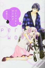 Capa do artigo Perfect World 3