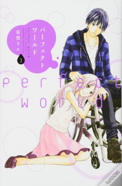Capa do artigo Perfect World 3