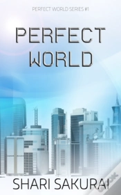 Capa do artigo Perfect World