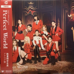 Capa do artigo Perfect World - Vinil
