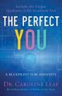 Perfect You - Preview