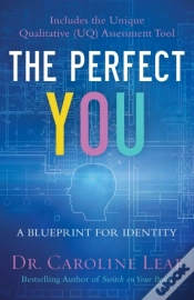 Capa do artigo Perfect You
