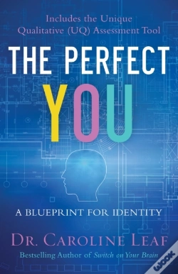 Capa do artigo Perfect You