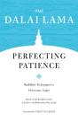 Perfecting Patience - Preview