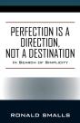 Perfection Is A Direction, Not A Destination - Preview