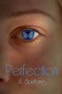 Perfection - Preview