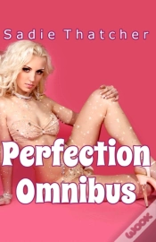 Capa do artigo Perfection Omnibus