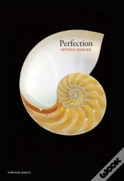 Capa do artigo Perfection