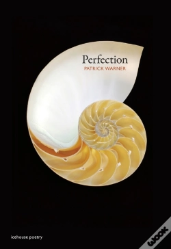 Capa do artigo Perfection