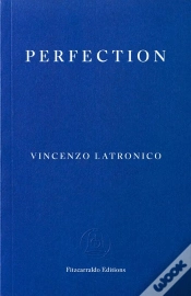 Capa do artigo Perfection