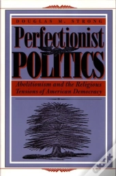 Perfectionist Politics