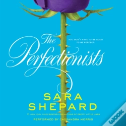 Capa do artigo Perfectionists