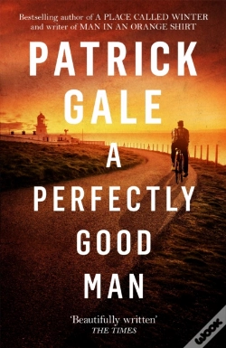 Capa do artigo Perfectly Good Man