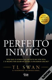 Capa do artigo Perfeito Inimigo