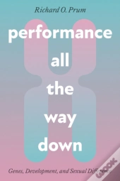 Performance All The Way Down