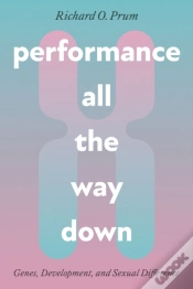Capa do artigo Performance All The Way Down