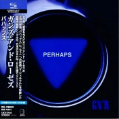 Capa do artigo Perhaps - CD