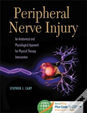 Peripheral Nerve Injury: An Anatomical And Physiological Approac