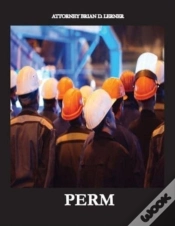 Capa do artigo Perm