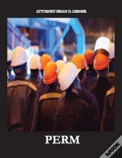 Capa do artigo Perm