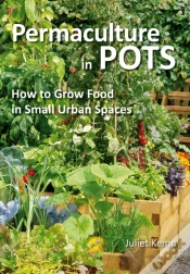 Capa do artigo Permaculture In Pots