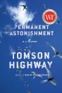 Permanent Astonishment - Preview