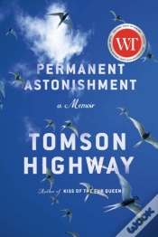 Capa do artigo Permanent Astonishment