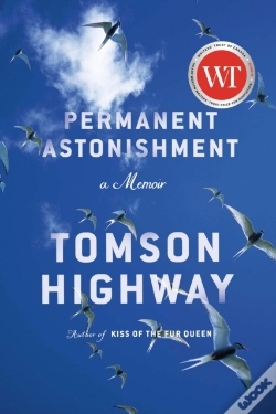 Capa do artigo Permanent Astonishment