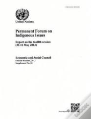 Permanent Forum On Indigenous Issues