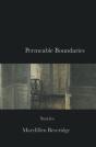 Permeable Boundaries - Preview
