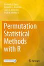 Permutation Statistical Methods With R - Preview