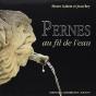 Pernes Au Fil De L'Eau - Preview