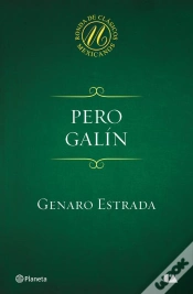 Capa do artigo Pero Galín