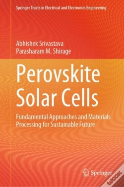 Capa do artigo Perovskite Solar Cells