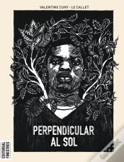 Capa do artigo Perpendicular Al Sol
