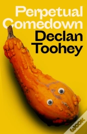 Capa do artigo Perpetual Comedown