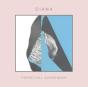 Perpetual Surrender - Vinil - Preview