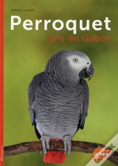 Perroquet Gris Du Gabon