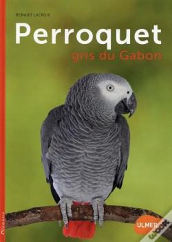 Capa do artigo Perroquet Gris Du Gabon