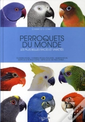 Perroquets Du Monde