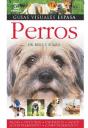 Perros - Preview