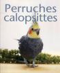 Perruche Calopsitte - Preview
