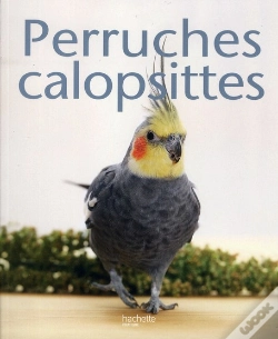 Capa do artigo Perruche Calopsitte