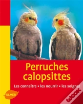 Perruches Callopsittes