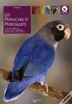 Capa do artigo Perruches Et Perroquets