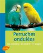 Perruches Ondulees - Preview