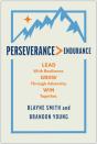 Perseverance &Gt; Endurance - Preview
