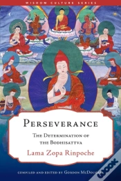 Capa do artigo Perseverance